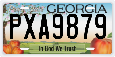 GA license plate PXA9879