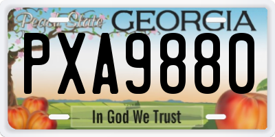 GA license plate PXA9880