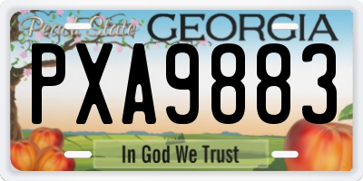 GA license plate PXA9883