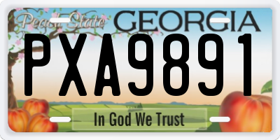 GA license plate PXA9891