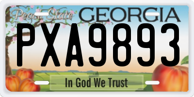 GA license plate PXA9893