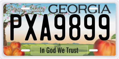 GA license plate PXA9899