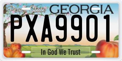 GA license plate PXA9901