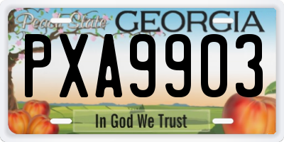GA license plate PXA9903