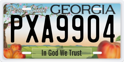 GA license plate PXA9904