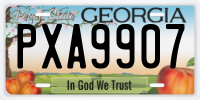 GA license plate PXA9907