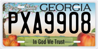 GA license plate PXA9908