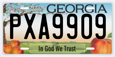 GA license plate PXA9909