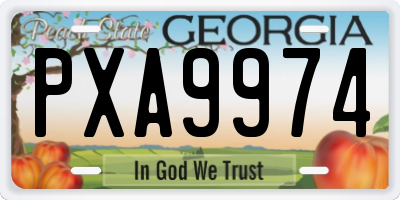 GA license plate PXA9974
