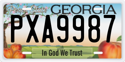 GA license plate PXA9987