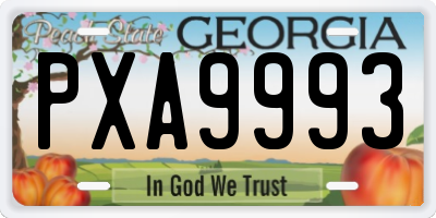 GA license plate PXA9993