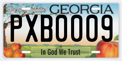 GA license plate PXB0009
