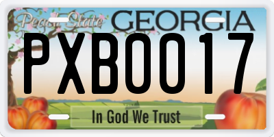 GA license plate PXB0017