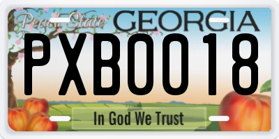 GA license plate PXB0018