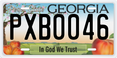 GA license plate PXB0046