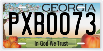 GA license plate PXB0073