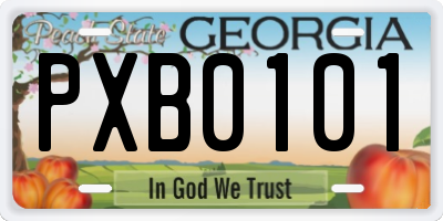 GA license plate PXB0101