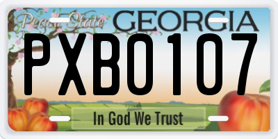 GA license plate PXB0107