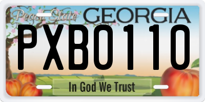 GA license plate PXB0110