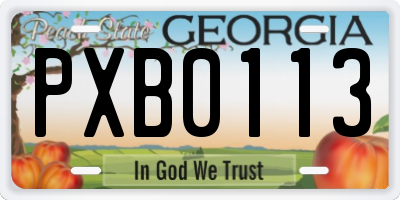 GA license plate PXB0113