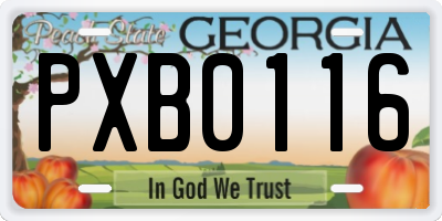 GA license plate PXB0116