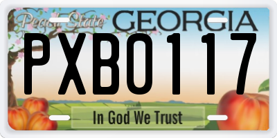GA license plate PXB0117