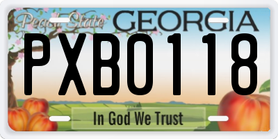 GA license plate PXB0118