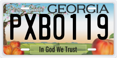 GA license plate PXB0119