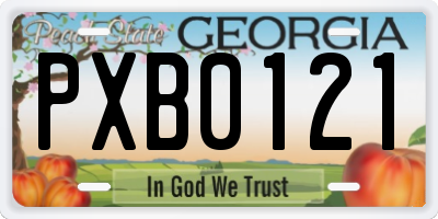GA license plate PXB0121