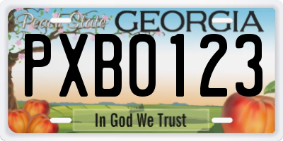 GA license plate PXB0123