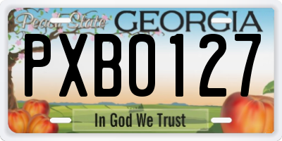 GA license plate PXB0127