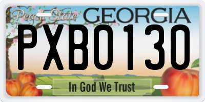 GA license plate PXB0130