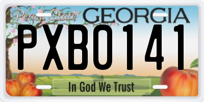 GA license plate PXB0141