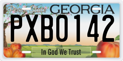 GA license plate PXB0142