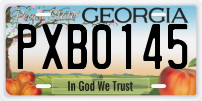GA license plate PXB0145