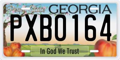 GA license plate PXB0164