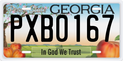 GA license plate PXB0167