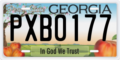GA license plate PXB0177