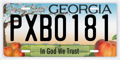 GA license plate PXB0181