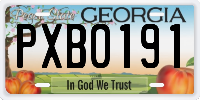 GA license plate PXB0191