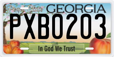 GA license plate PXB0203