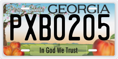 GA license plate PXB0205