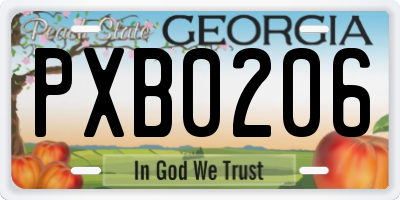 GA license plate PXB0206