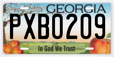 GA license plate PXB0209