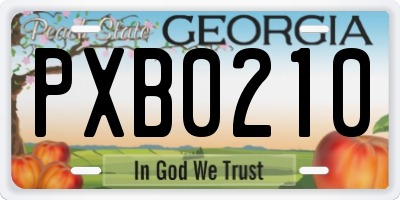 GA license plate PXB0210