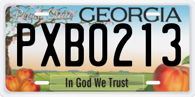 GA license plate PXB0213