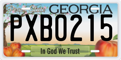 GA license plate PXB0215