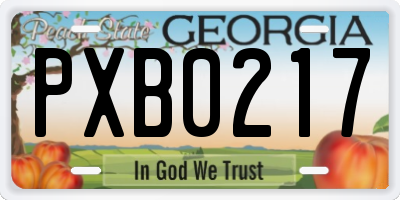 GA license plate PXB0217