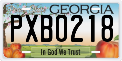 GA license plate PXB0218