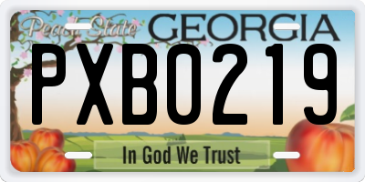 GA license plate PXB0219